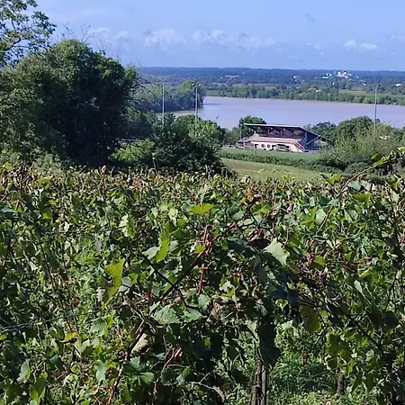 Maison Charmeilles - Le Canon De Casa de hóspedes Fronsac (Gironde)