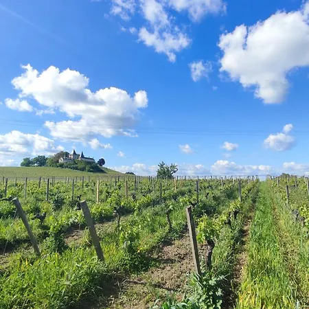 Maison Charmeilles - Le Canon De Casa de hóspedes Fronsac (Gironde)